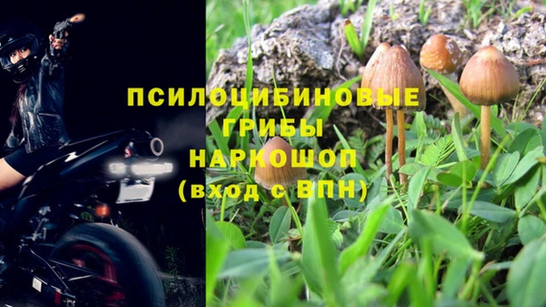 apvp Абаза