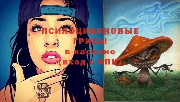 apvp Абаза
