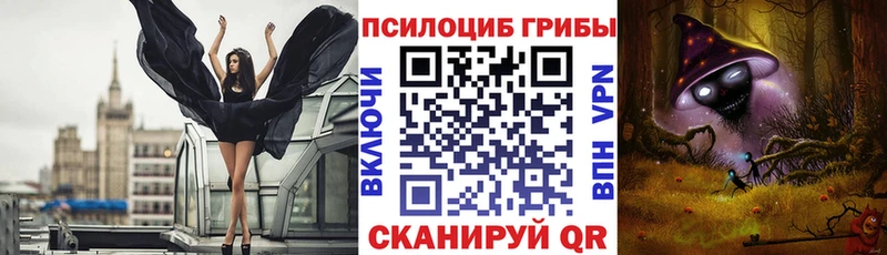Псилоцибиновые грибы Cubensis  где купить наркоту  Заринск 
